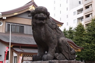 PA136581.jpg
