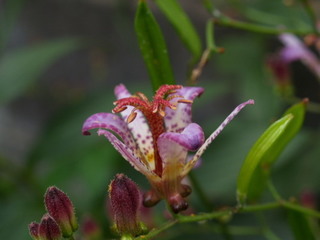 PA201168.jpg