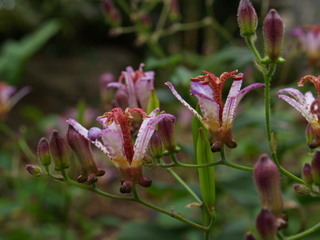 PA201178.jpg