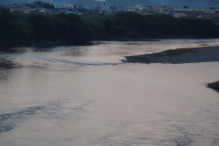 PA232252.jpg