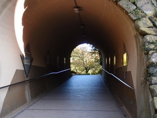 PA270036.jpg