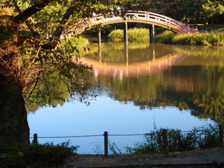 PA270043.jpg