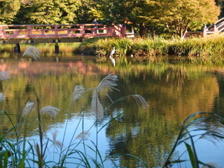 PA270045.jpg