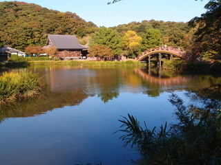 PA270051.jpg
