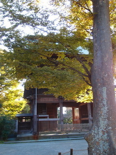 PA270060.jpg