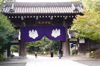 PA292272.jpg