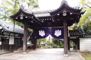 PA292275.jpg
