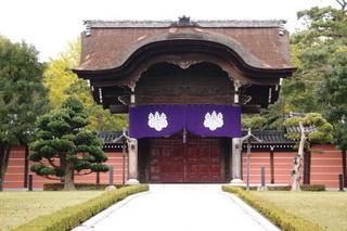PA292292.jpg