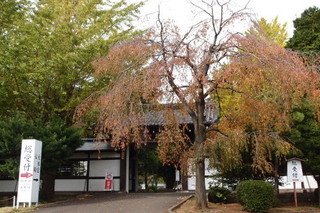 PA292299.jpg