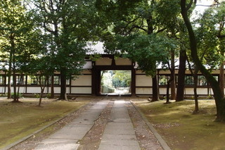 PA292311.jpg