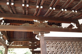 PA292345.jpg
