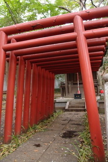PA292360.jpg