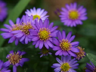 PB0242330001.jpg