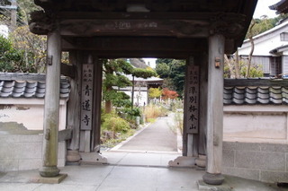 PB026761.jpg