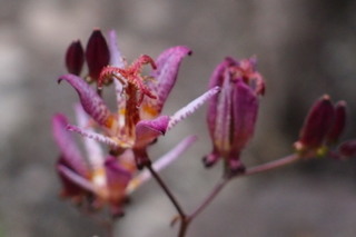 PB026766.jpg