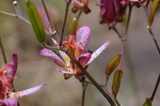 PB026768.jpg