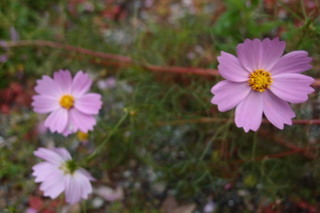 PB026770.jpg