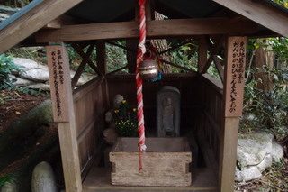 PB026785.jpg