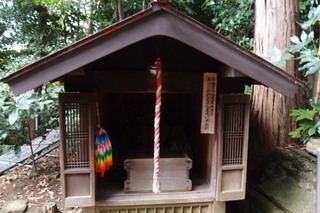 PB026788.jpg