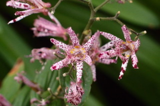 PB026798.jpg