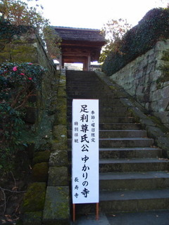 PB030077.jpg