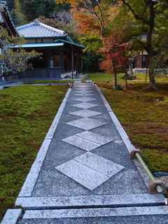 PB030176.jpg