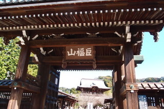 PB042410.jpg