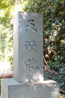PB042484.jpg
