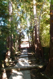 PB042488.jpg