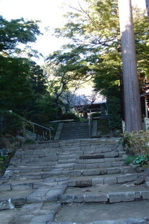 PB042554.jpg