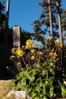 PB042557.jpg