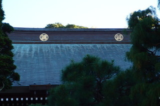 PB042567.jpg