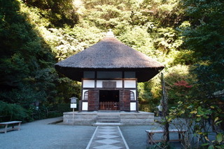 PB042589.jpg