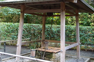 PB042595.jpg