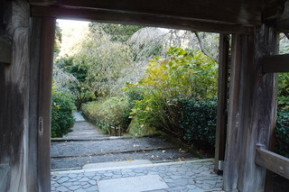 PB042606.jpg