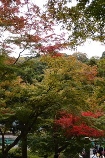PB046804.jpg