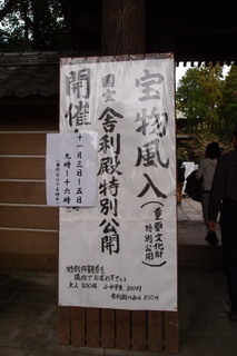 PB046806.jpg