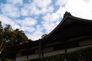 PB046811.jpg