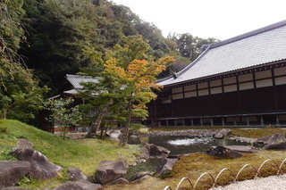 PB046812.jpg