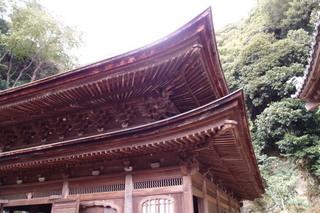 PB046817.jpg