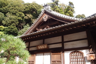 PB046820.jpg