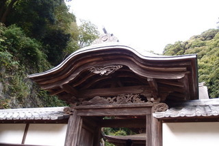 PB046821.jpg