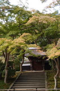 PB046830.jpg
