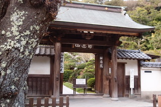 PB046835.jpg