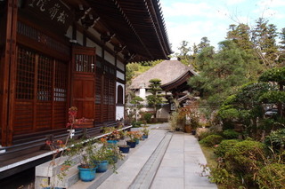 PB046838.jpg