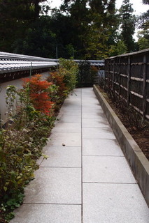 PB046840.jpg