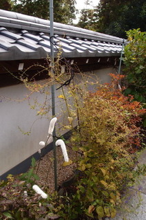 PB046844.jpg