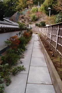 PB046845.jpg