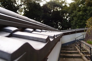 PB046851.jpg