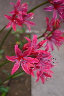 PB046852.jpg